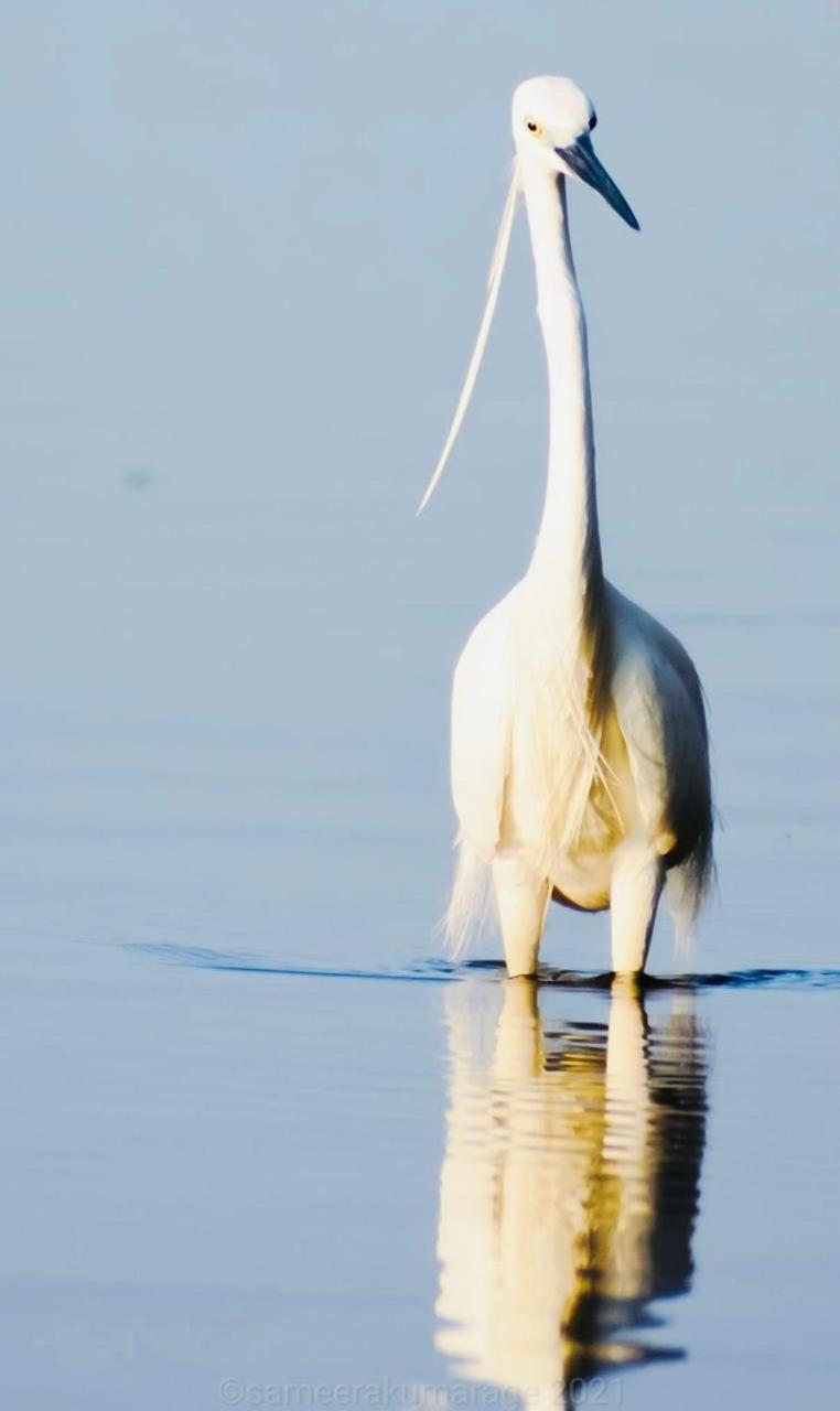 Pelican Lake Удавалаве Экстерьер фото